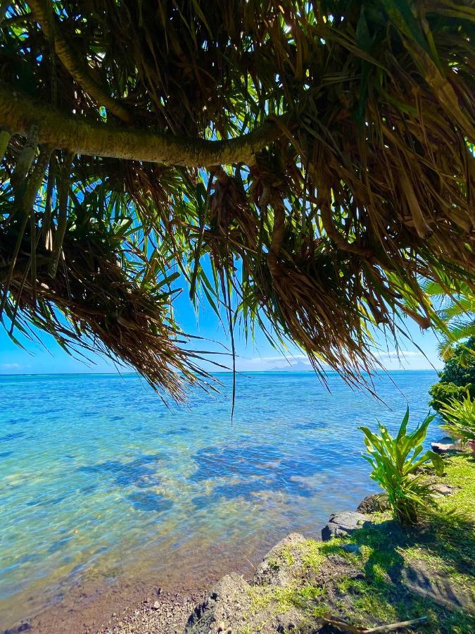 O'Coco Bungalow- Breathtaking Waterfront Views, Endless Memories Paea Exterior photo