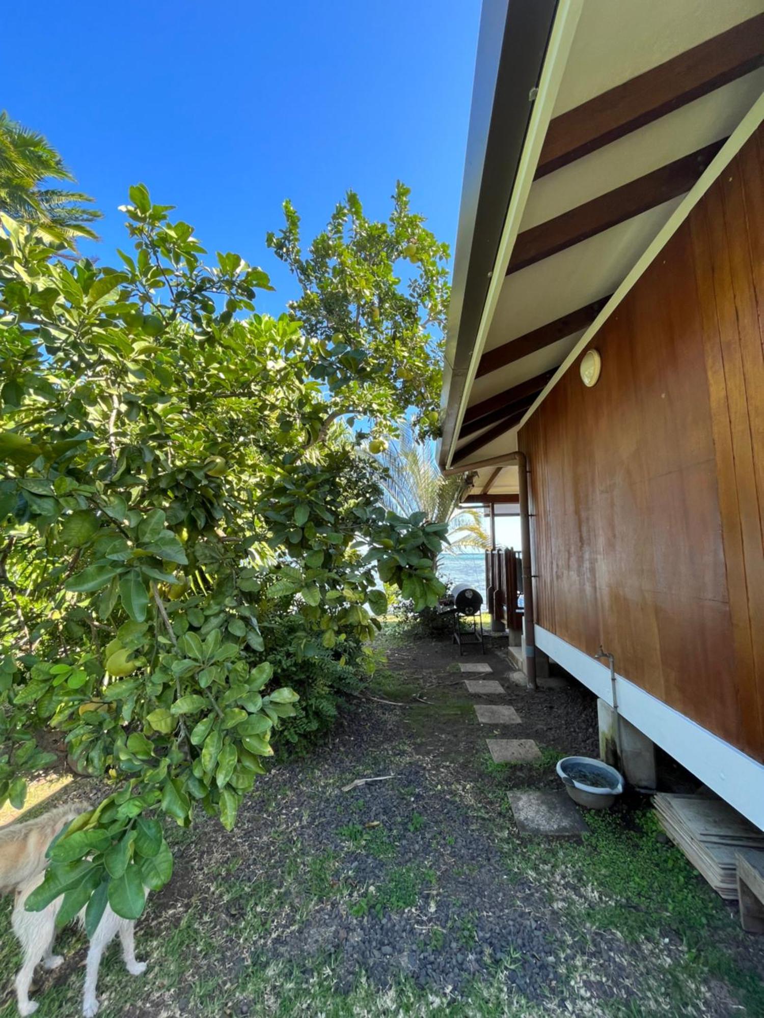 O'Coco Bungalow- Breathtaking Waterfront Views, Endless Memories Paea Exterior photo