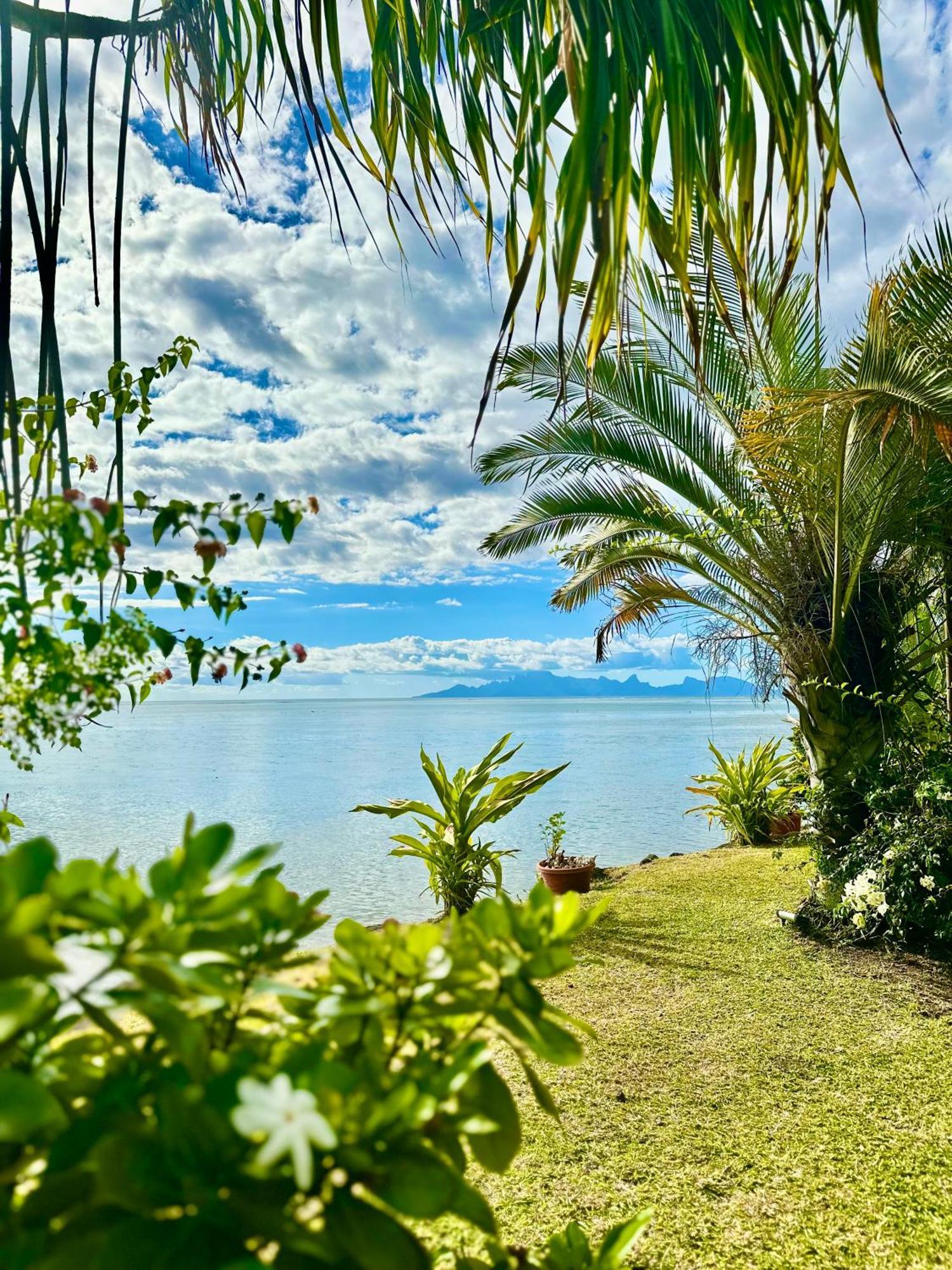 O'Coco Bungalow- Breathtaking Waterfront Views, Endless Memories Paea Exterior photo