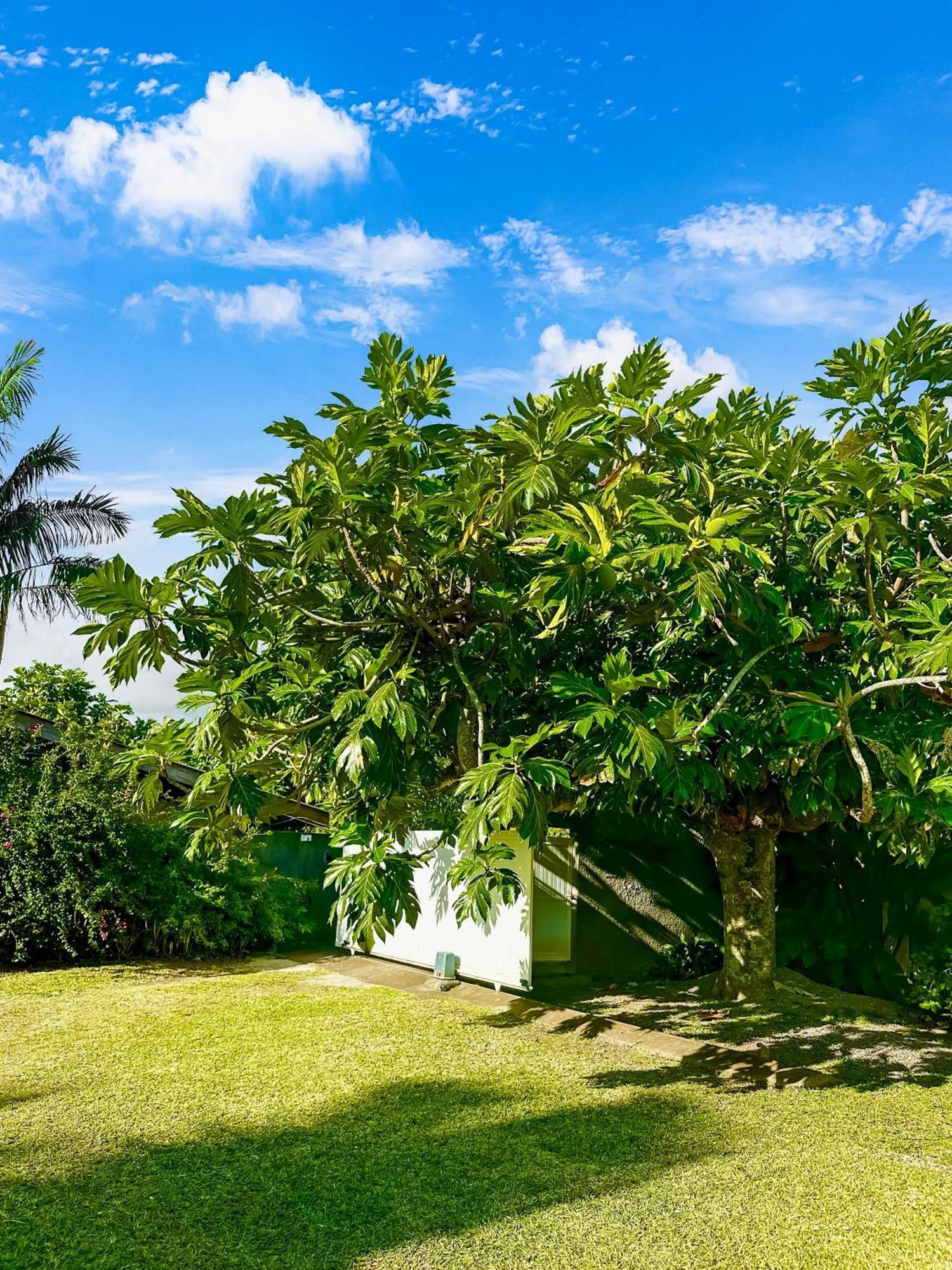 O'Coco Bungalow- Breathtaking Waterfront Views, Endless Memories Paea Exterior photo